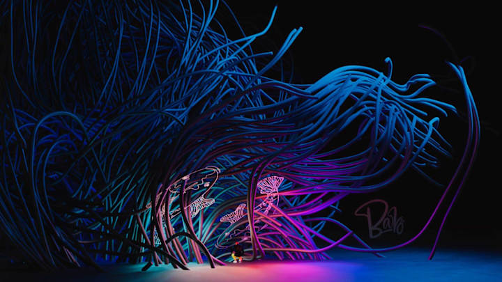 Cover image for Social Graphics for Bornearo | Branding + 3D Design