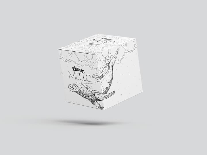 Cover image for Packaging "Meelo"