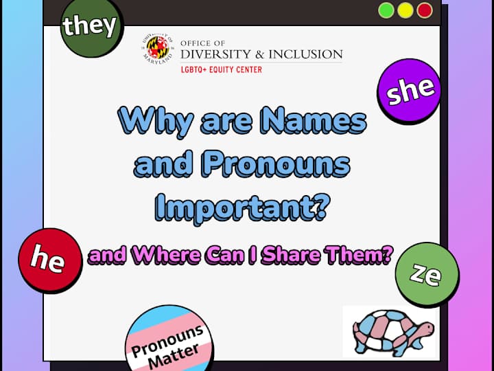 Cover image for Why Are Names and Pronouns Important?