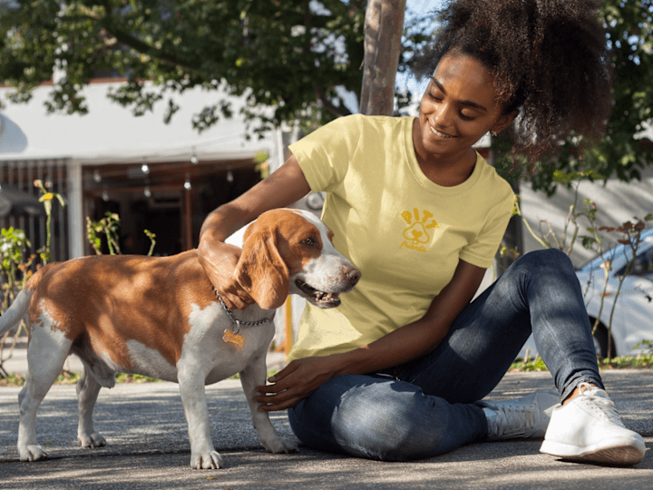 Cover image for Pitt Friends 🐾 Brand Refresh