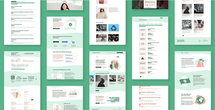 Cover image for Designing a Website to Showcase Ethical Consumer Brands