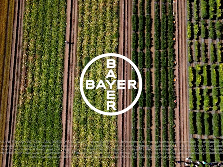 Cover image for Your Crop Matters: Growing Forward with Bayer Promo