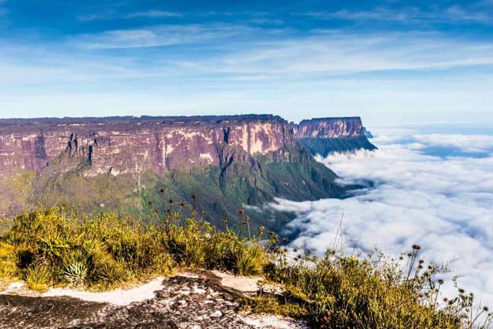 Cover image for Discover the Amazing Tabletop Mountains (Tepuis) of Venezuela