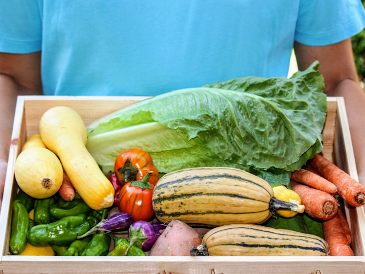 Cover image for The Boise Farmers Market - Newsletter 1/31/23