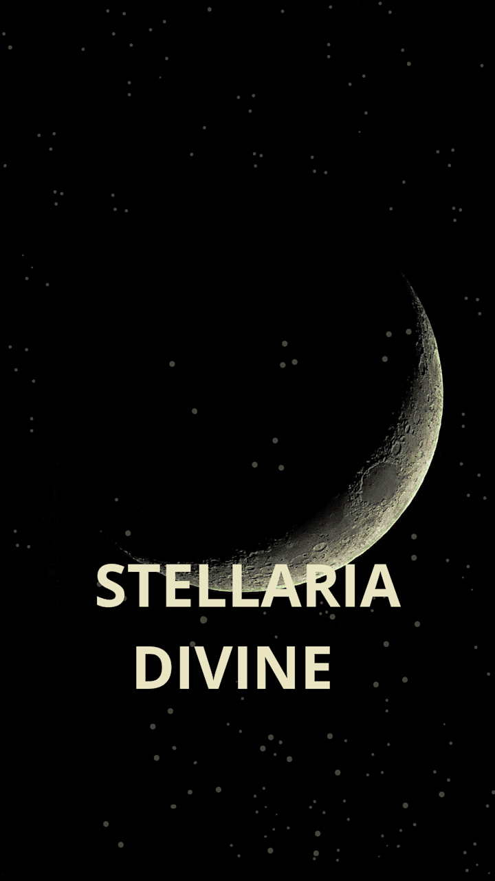 Cover image for STELLARIA DIVINE 