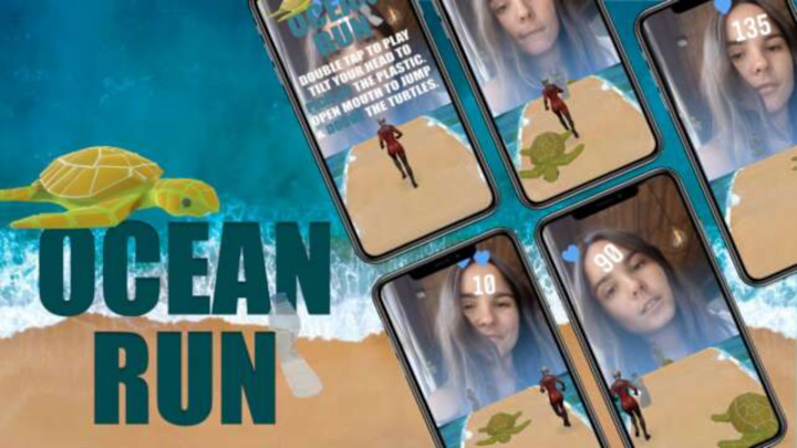 Cover image for Ocean Run