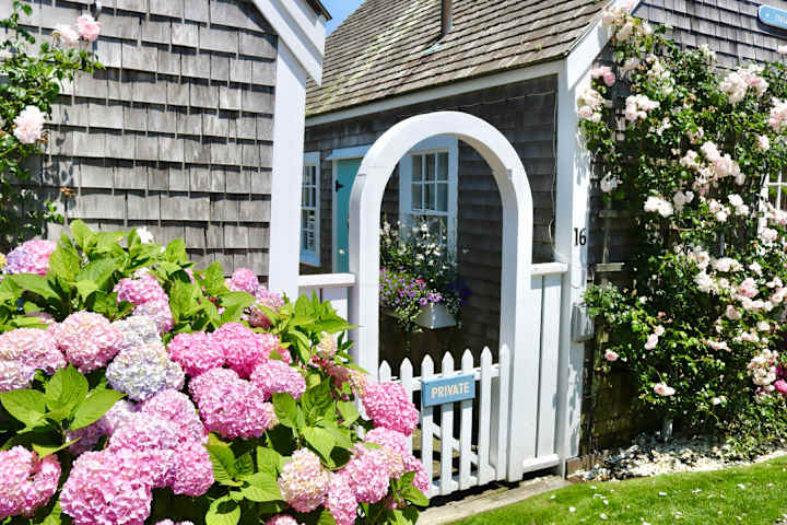 Cover image for BLOG: Exploring the Picture-Worthy Gems of Nantucket