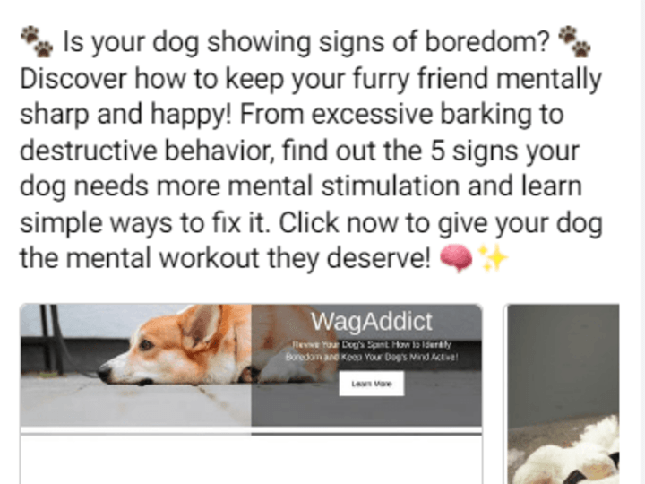 Cover image for Facebook Ads — 5 Signs Your Dog Needs Mental Stimulation