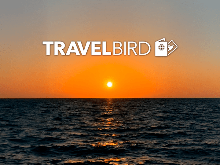 Cover image for Healthbird & Travelbird | Meta and TikTok Ads