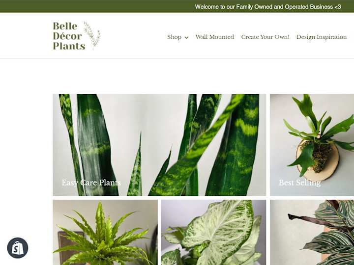 Cover image for Belle Decor Plants