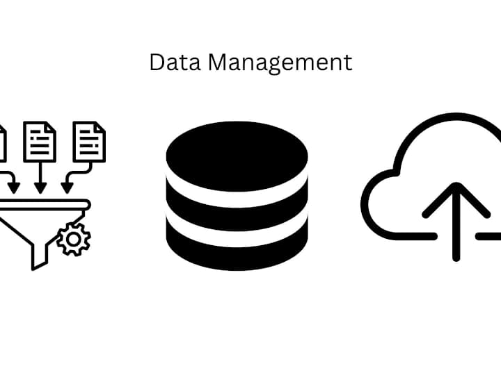 Cover image for Customer Data Management