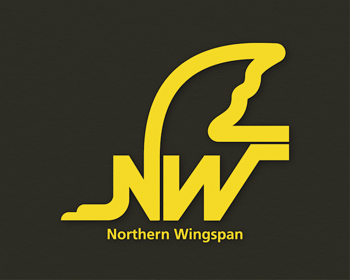 Cover image for Northern Wingspan Brand Design