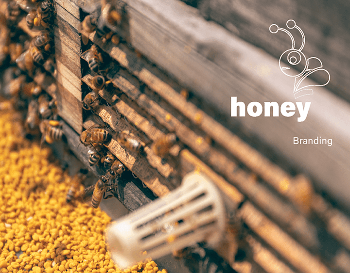 Cover image for Honey Bunny Branding 🐻🍯