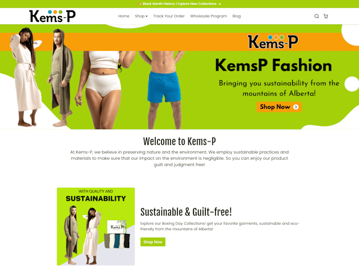 Cover image for Kems-P Fashion Shopify Store