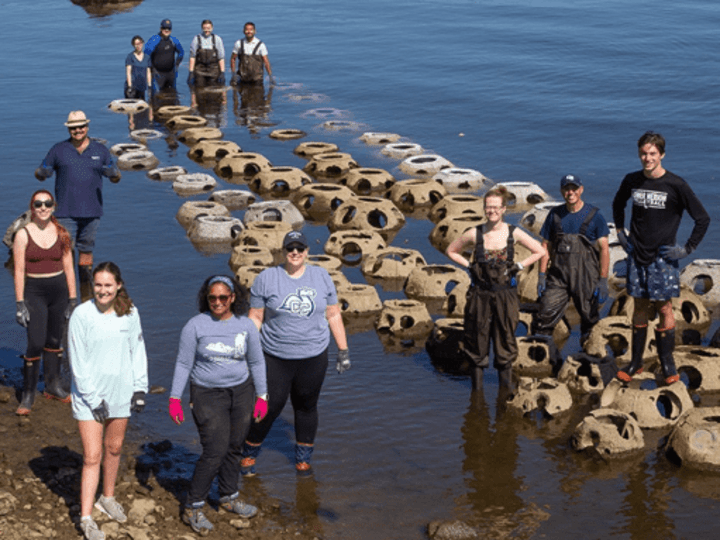 Cover image for Instagram: Faculty Highlight