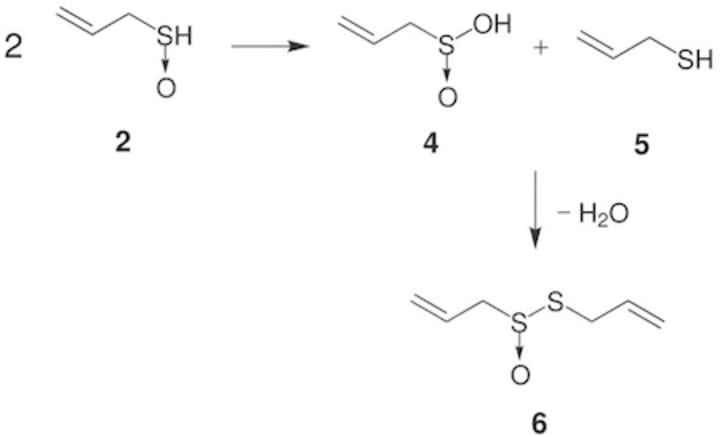 Cover image for What is Allicin?