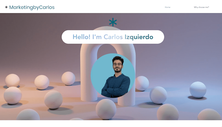 Cover image for CREATION OF WEBSITE