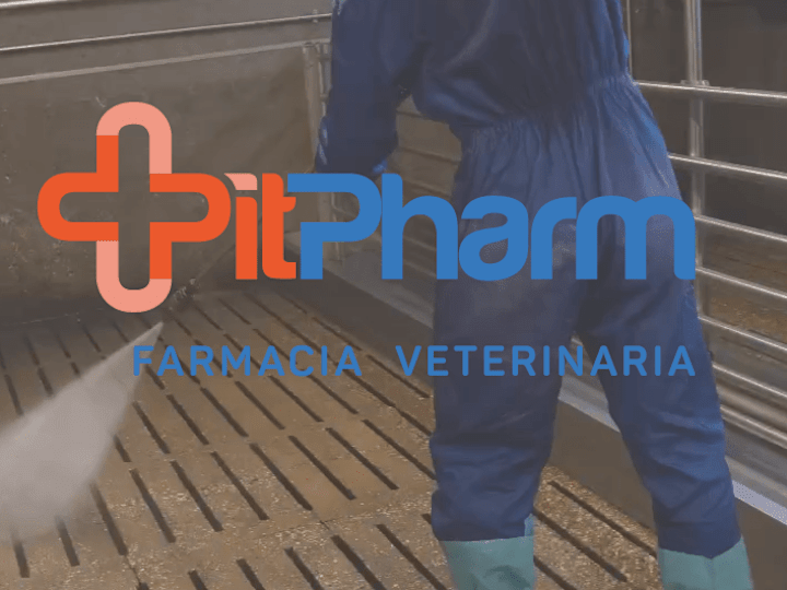 Cover image for PitPharm 