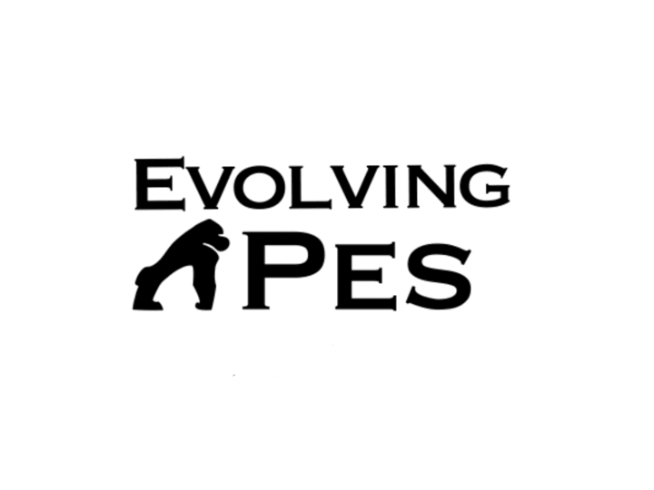 Cover image for Project manager: EvolvingApes