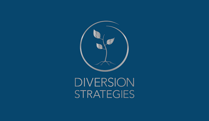 Cover image for Diversion Strategies | Brand Identity 