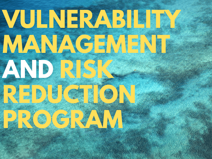 Cover image for Vulnerability Management and Risk Reduction Program