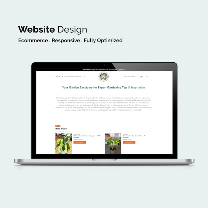 Cover image for Vector Logo & WordPress Website Design