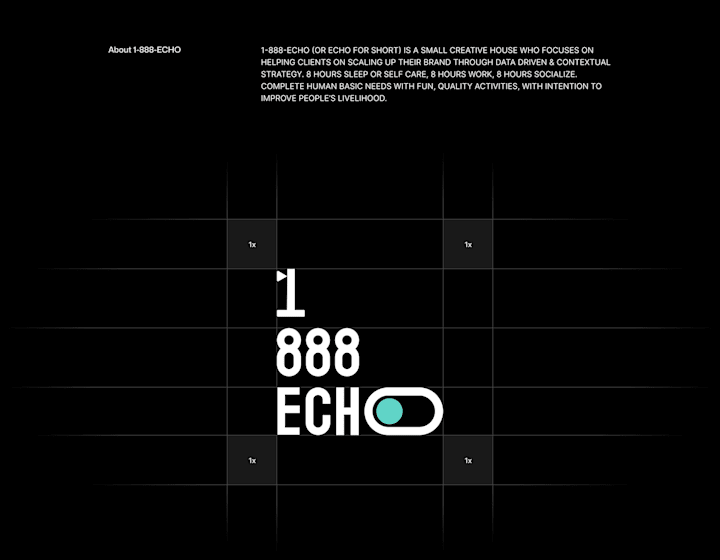 Cover image for 1-888-ECHO - Agency Landing Page