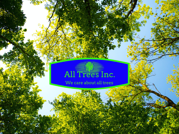 Cover image for All Trees Inc. Website