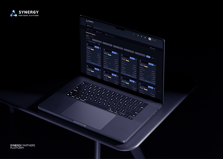 Cover image for Synergy Partners Platform design 