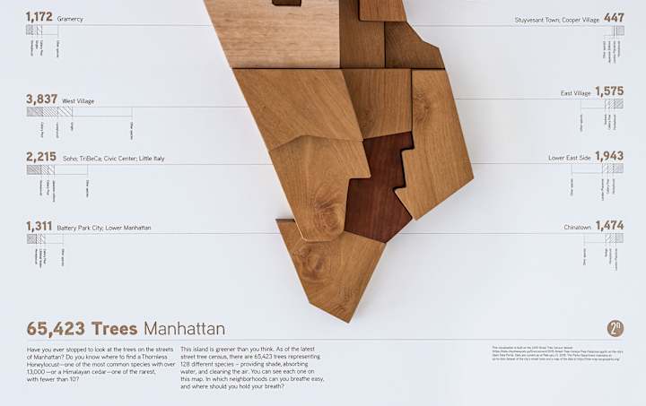 Cover image for Manhattan Tree Map Project