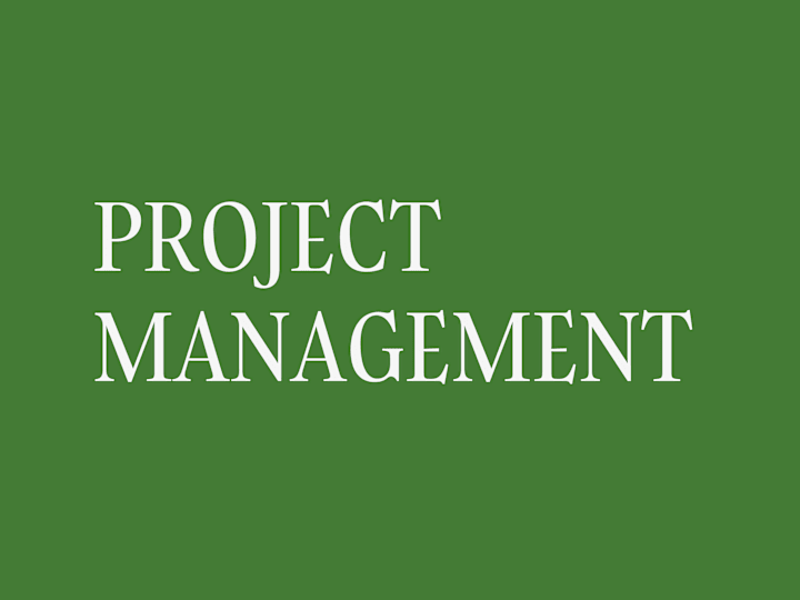 Cover image for Full Scale Project Management 