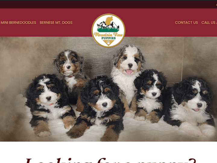 Cover image for E-com Puppy Portal Website