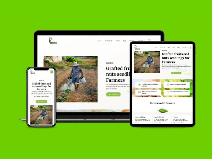 Cover image for Online Stores – WooCommerce integration setup and customization.