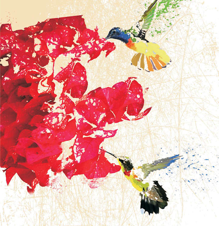 Cover image for Custom project