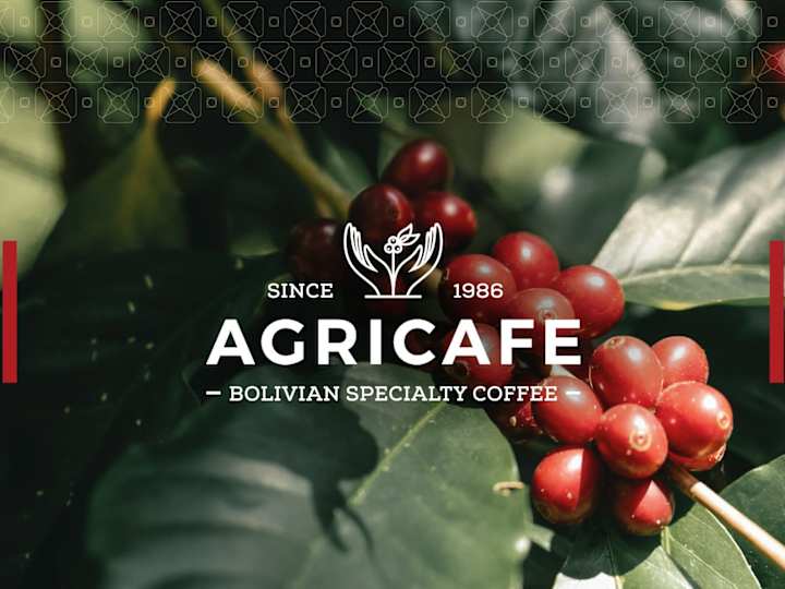 Cover image for Agricafe Brand Design