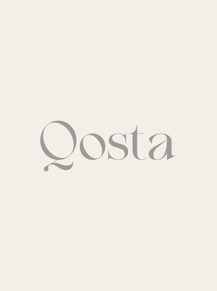 Cover image for Qosta - website template for your small business