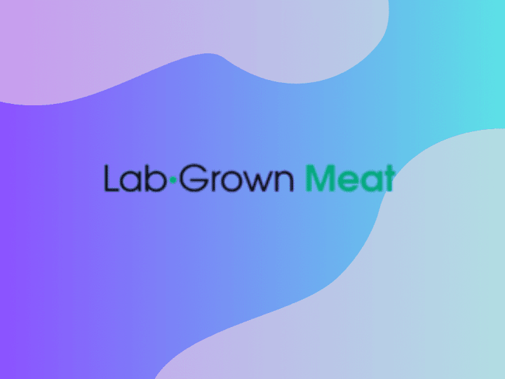 Cover image for Case Study: LabGrownMeat.com (Long-form guides)