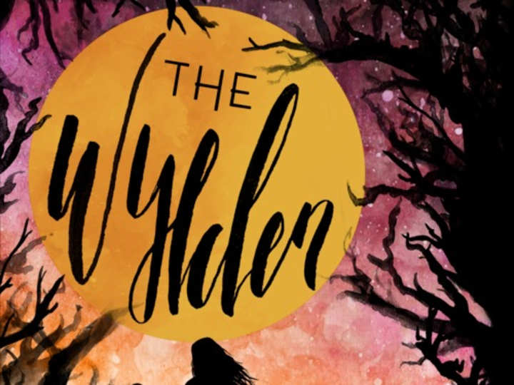 Cover image for The Wylden