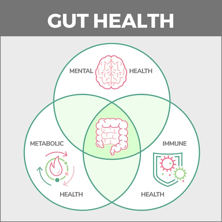 Cover image for How Does Exercise Influence Gastroenterology Health?