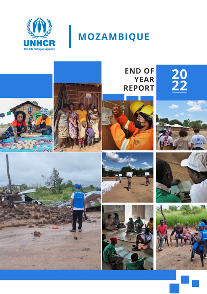 Cover image for Humanitarian Assistance in Mozambique