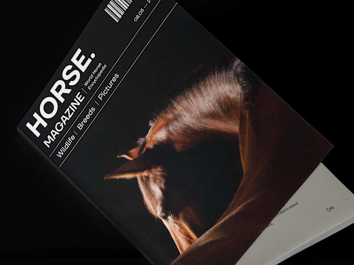 Cover image for HORSE - Magazine design on Behance