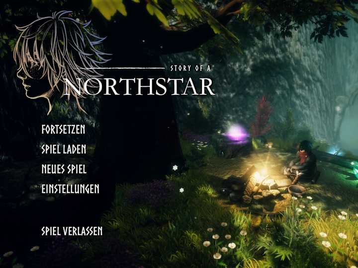 Cover image for Story of a Northstar