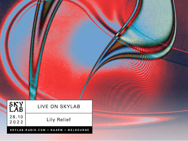 Cover image for Skylab Radio Graphics