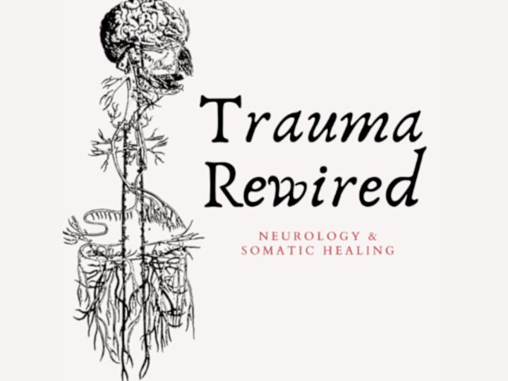 Cover image for Trauma Rewired