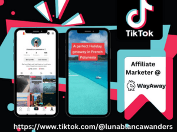 Cover image for Social Media Manager & Affiliate Marketer