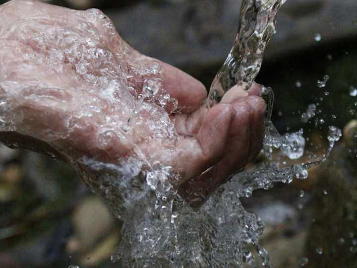 Cover image for Water