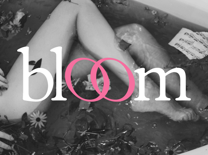 Cover image for Bloom - Branding & Website Design