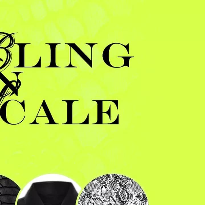 Cover image for “BLING ON SCALE • Texture Mixture