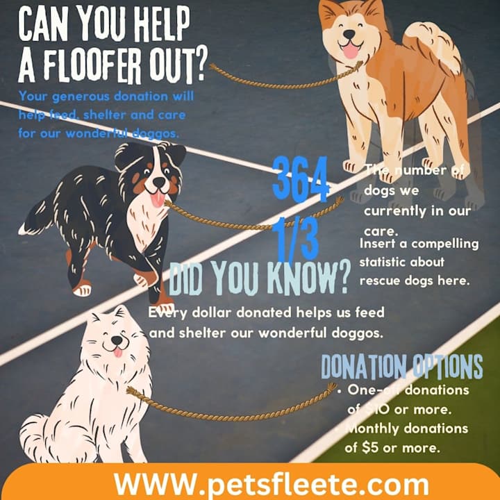 Cover image for proessional infographics design