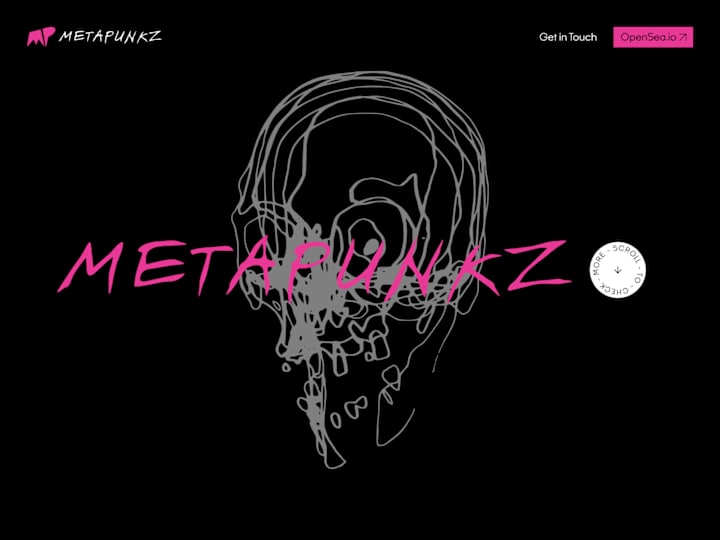 Cover image for Metapunkz